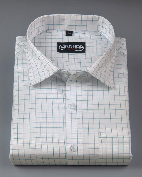 Arvind Mofatlal Rama Geen with Blue Checks Shirts for Men